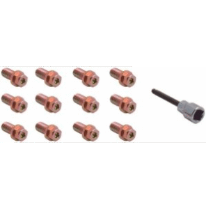 Spectre 46703 Header Bolts