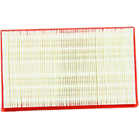 Fram Air Filter Fram Extra Guard-Paper,Disposable
